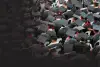 Economics, Management, Finance and the Social Sciences